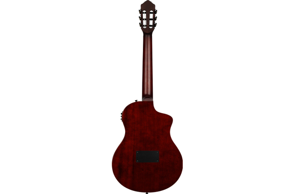 Ortega TourPlayer Deluxe Abete Naturale image 3