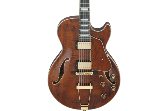 Ibanez AG95MG-DA Artcore Expressionist AG image 3
