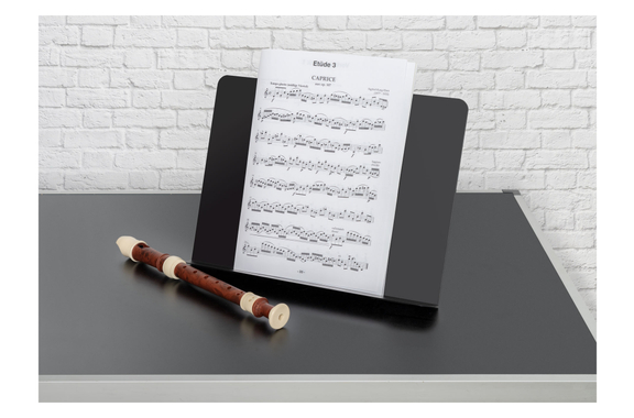 Classic Cantabile OST-350 2-in-1 Notenpult 3x Set image 3