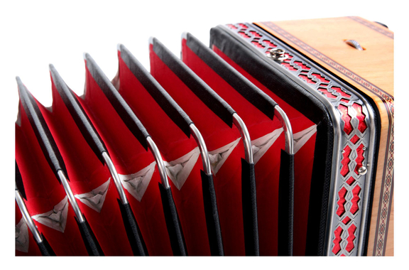 Alpenklang Pro Accordeon III 96 Toetsen-Steirische, Els met rode inzet in de sierlijst image 3