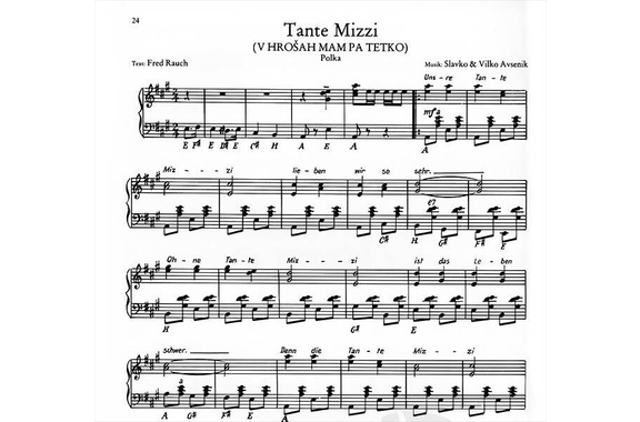 Slavko Avsenik - 20 Éxitos Mundiales image 3