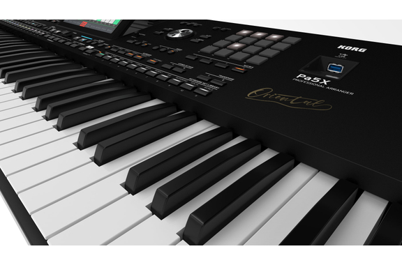 Korg Pa5X 76 Oriental image 3