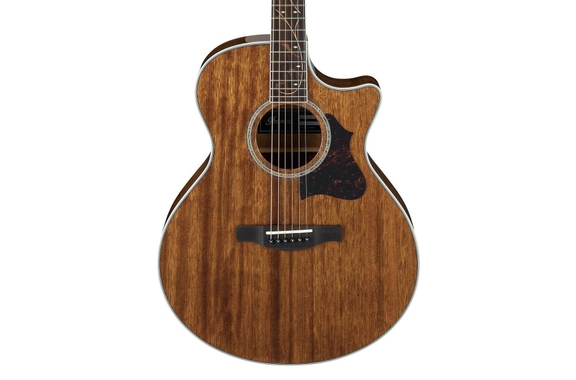 Ibanez AE245-NT Natural image 3