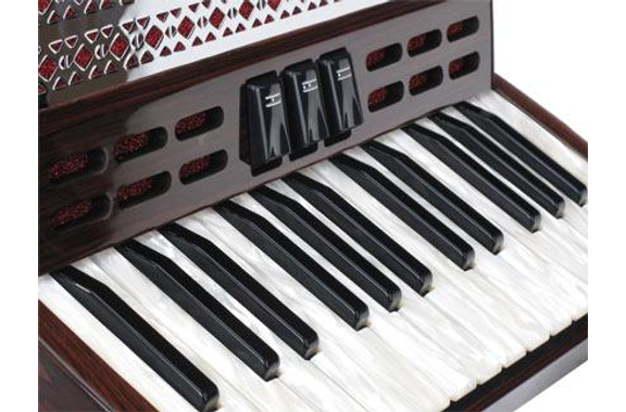 Alpenklang Pro Accordion II 48 M Rosewood image 3