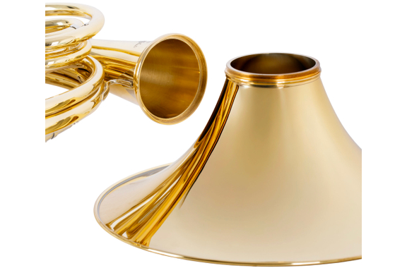 Lechgold DH-25L Cor Double Bb/F Verni image 3