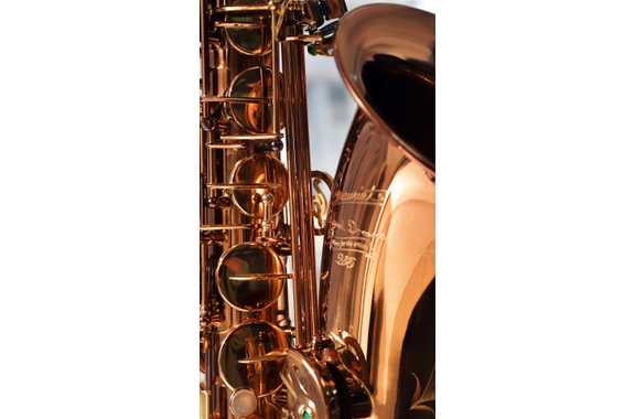 P. Mauriat Altsaxofoon Grand Dreams 285 image 3