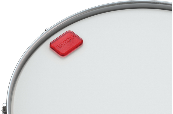 Evans EQ Pods image 3