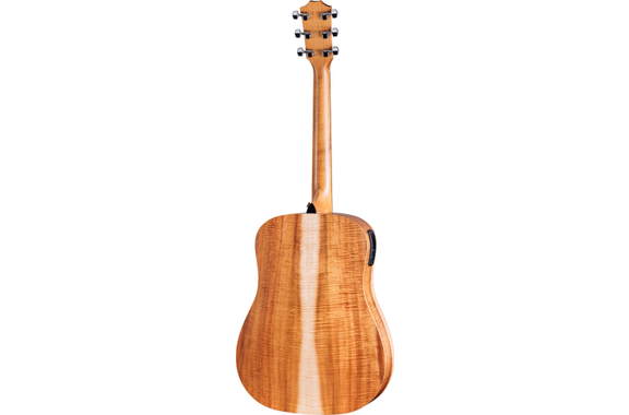 Taylor Academy 10e LTD image 3
