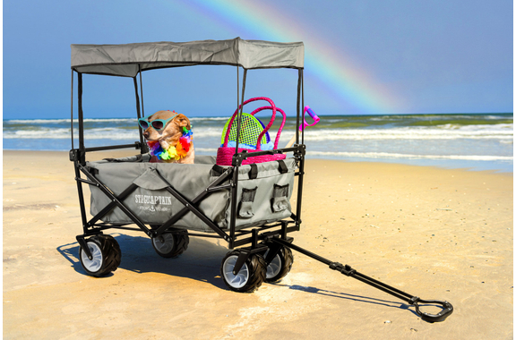 Stagecaptain Bollycart-907D GY Bollerwagen mit Dach image 3