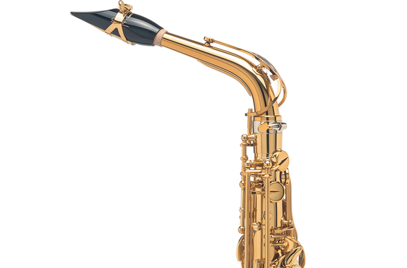 Selmer Sassofono Alto Eb Signature, Verniciatura Oro image 3