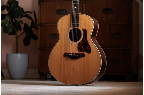 Taylor Gold Label 714e image 3