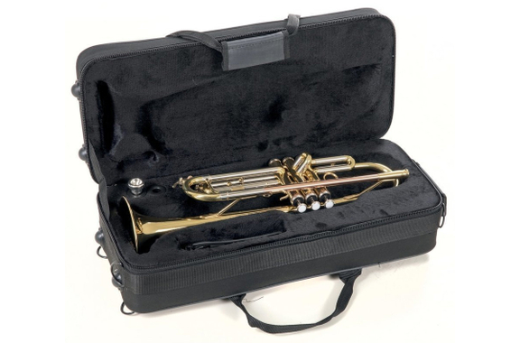 Roy Benson TR-202 Bb-Trompete image 3