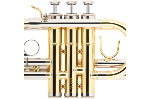Classic Cantabile TR-45 Herald Tromba image 3
