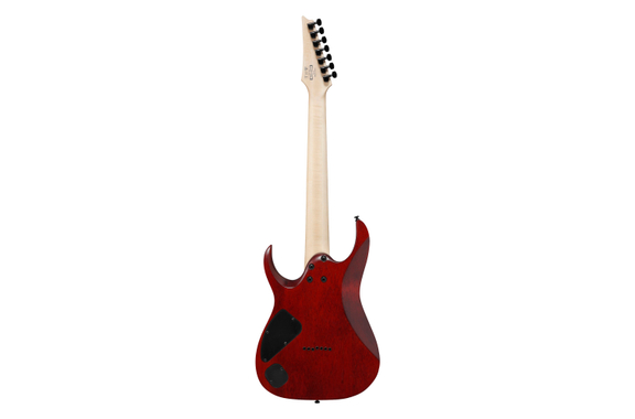 Ibanez RGA742FM-TGF Transparent Gray Flat image 3
