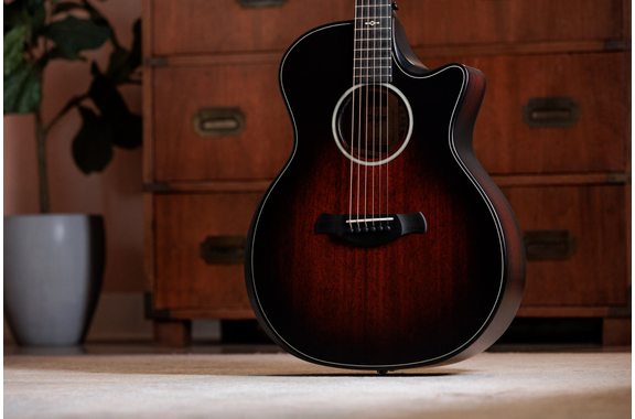Taylor Builder's Edition 324ce Next Generation image 3