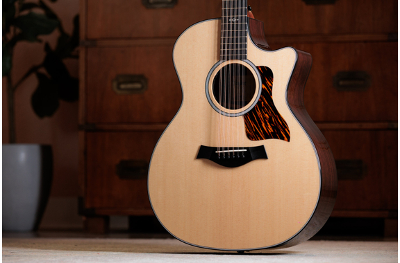 Taylor 454ce Next Generation image 3