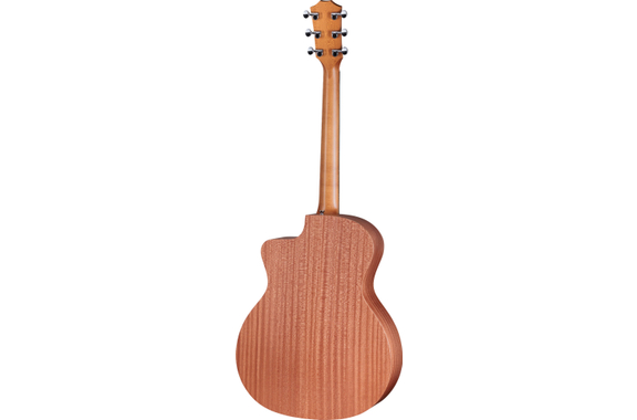 Taylor 24ce image 3