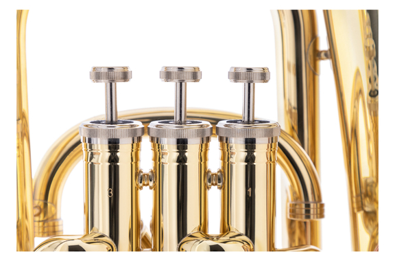 Lechgold EU-310L Euphonium gelakt image 3
