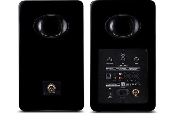 HiVi Swan H6 3-Wege Aktiv Regallautsprecher-System image 3