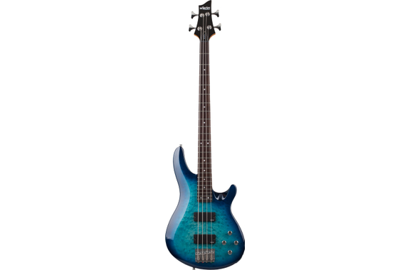 Schecter C-4 Plus E-Bass Ocean Blue Burst image 3