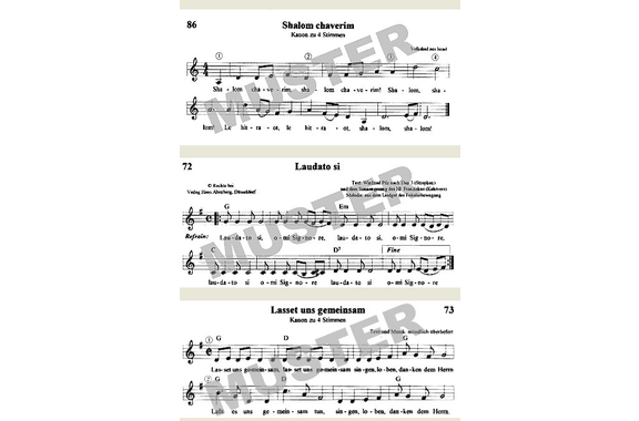 Da Capo Liederbuch Ringbuch image 3