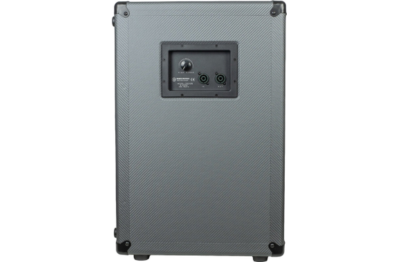 Darkglass DG210N Cabinet image 3
