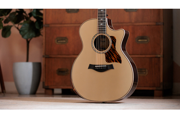 Taylor Next Generation 814ce Limited Edition Casablanca Beige Metallic image 3