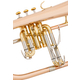 Lechgold FH-60G Flugelhorn Lacquered