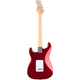 Fender Standard Stratocaster HSS Candy Cola