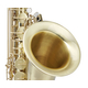 Classic Cantabile Winds TS-450 Set de Saxophone Ténor Brossé