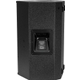 Omnitronic PAS-210 MK4 2-Weg-Top