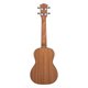 Cascha Premium Concert Mahogany Ukulele Set