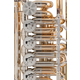 Miraphone F-Tuba 481 Elektra Ottone/Ottone Dorato 6-valvole