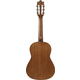 Ibanez GA1-OAM Open Pore Amber Set 1/2