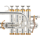 Cerveny CTR 8018RSG Trompeta Piccolo Bb/A Senator