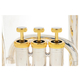 Lechgold Luxe EU-310S Euphonium verzilverd