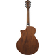 Ibanez AE140-WKH Weathered Black Open Pore