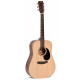Ditson D-10 Natural Satin Set