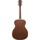 Ibanez AC340-OPN