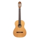 Ortega R122L