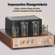 Bennett & Ross TA-70 HiFi Stereo-Verstärker im Röhrendesign Champagner