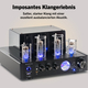 Bennett & Ross TA-70 Amplificateur Stéréo HiFi Au Design À Lampes Black