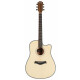 Rocktile WSD-100C NT Guitare Western