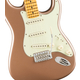 Fender American Professional Classic Stratocaster Faded Firemist Gold