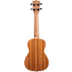 Set di Ukulele Concerto Voggenreiter Valencia
