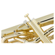 Classic Cantabile KEU-30GD MardiBrass Euphonium Bb in Plastica Oro