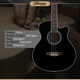 Shaman AB4-50CE-BK Basse Acoustique Noire