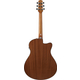 Ibanez AAM50LCE-OL Open Pore Light Brown Sunburst
