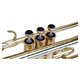 Trompeta Lechgold TR-16L en Bb lacada