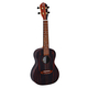 Ortega RUEB-CC Ebony Concert Ukulele Set